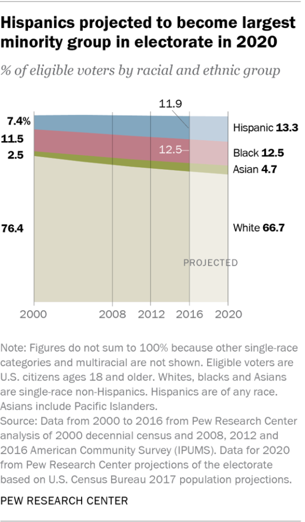 2020 electorate USA