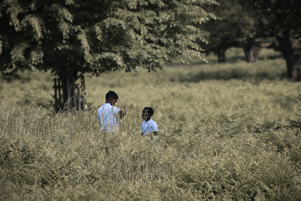 The boys in the field