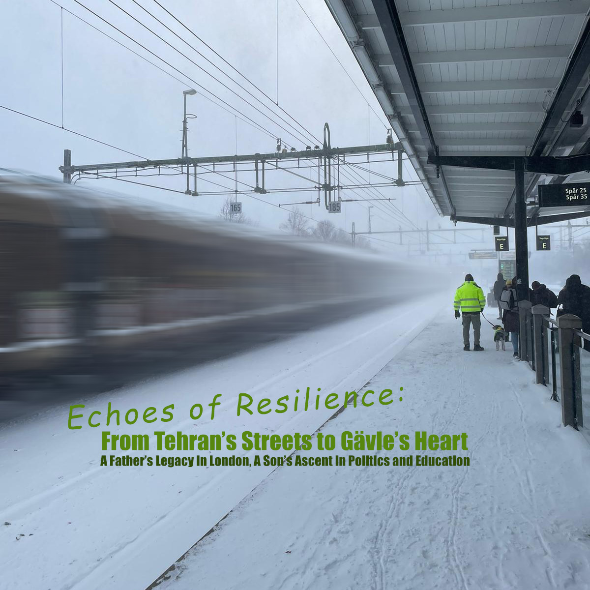 Echoes of Resilience