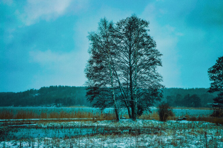 Cold Winds of Exile