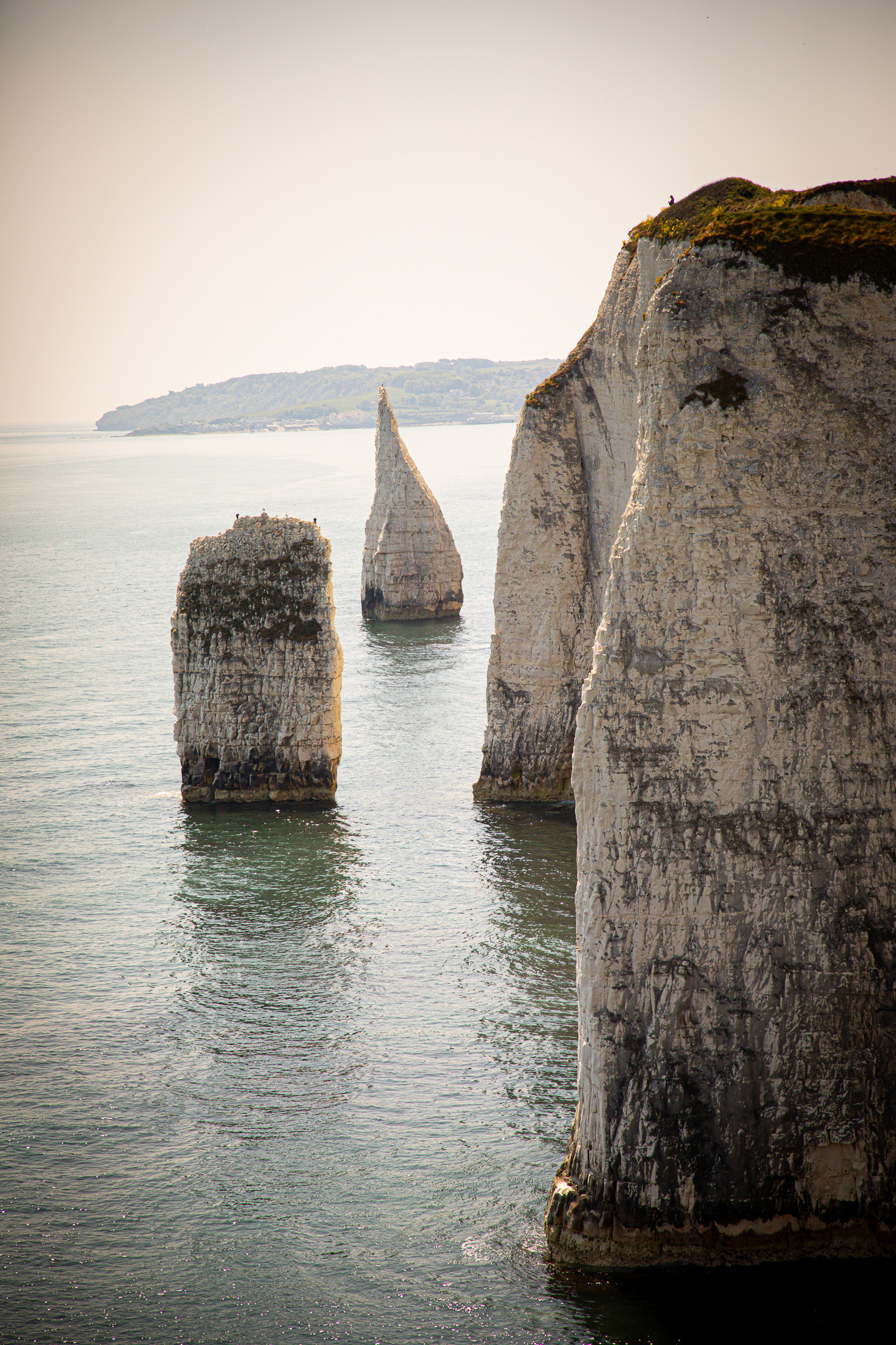 Old Harry Rocks