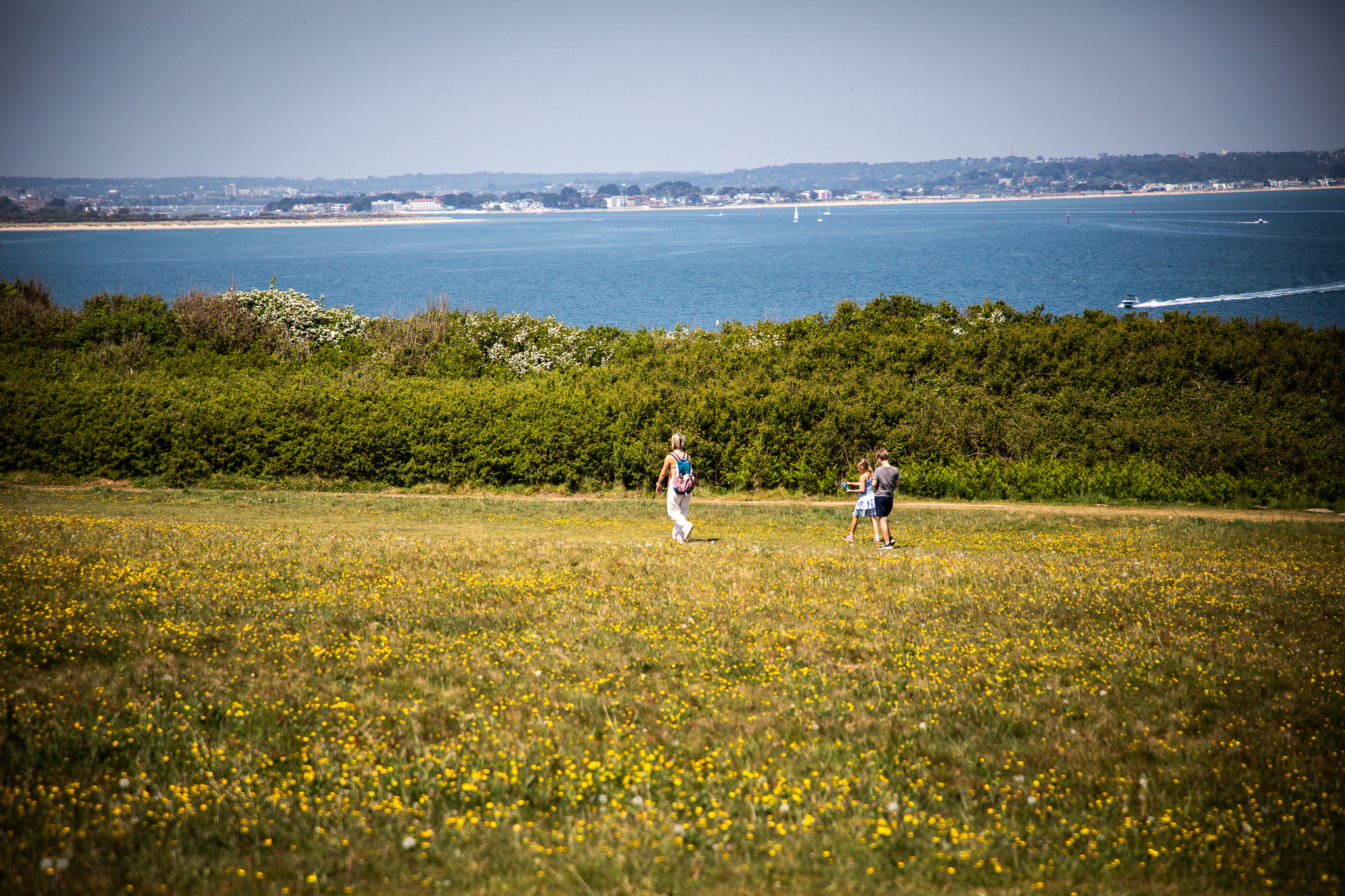 Old Harry Rocks